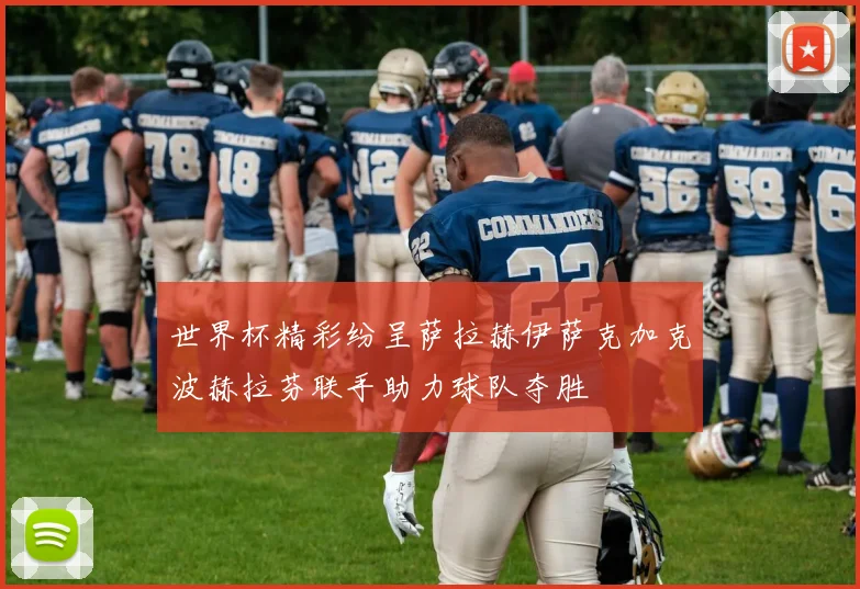 世界杯精彩纷呈萨拉赫伊萨克加克波赫拉芬联手助力球队夺胜