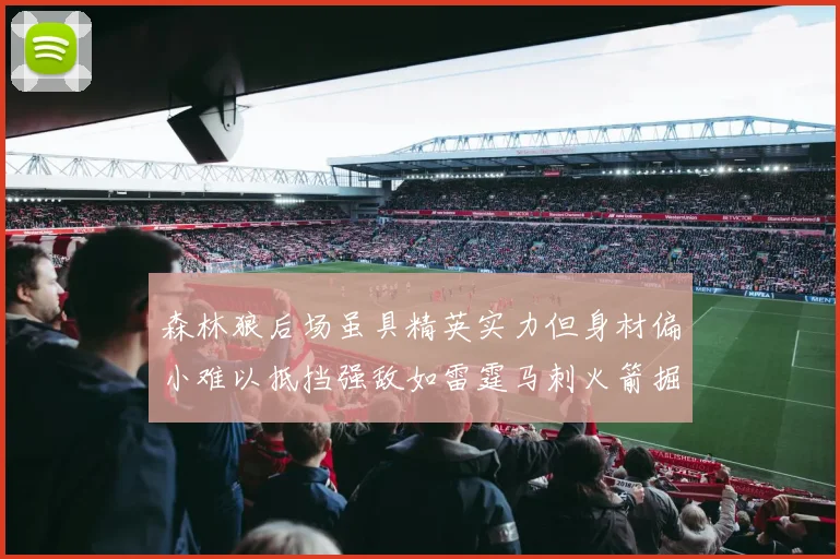 森林狼后场虽具精英实力但身材偏小难以抵挡强敌如雷霆马刺火箭掘金