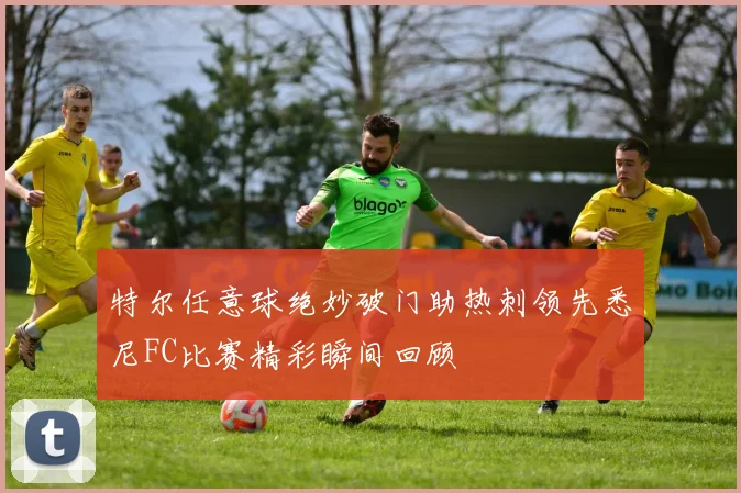 特尔任意球绝妙破门助热刺领先悉尼FC比赛精彩瞬间回顾