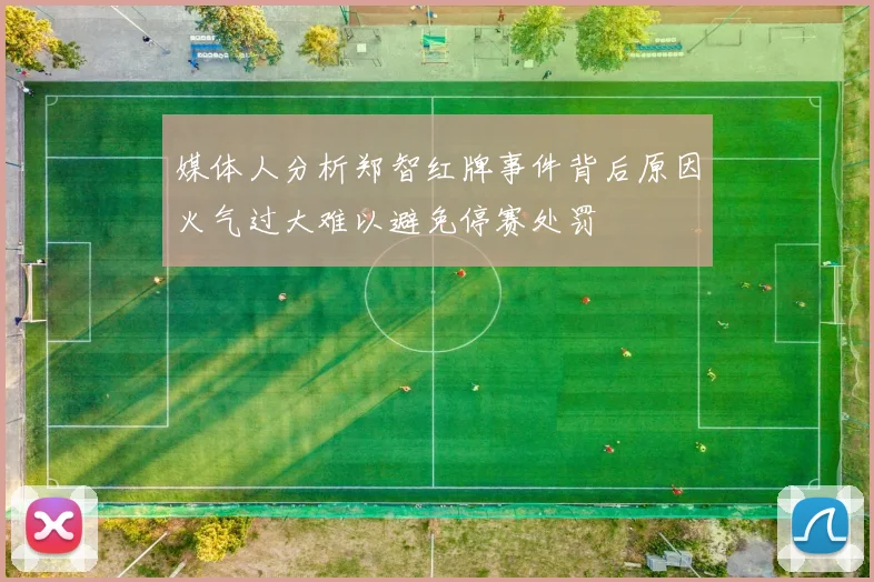 媒体人分析郑智红牌事件背后原因火气过大难以避免停赛处罚