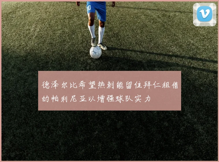 德泽尔比希望热刺能留住拜仁租借的帕利尼亚以增强球队实力